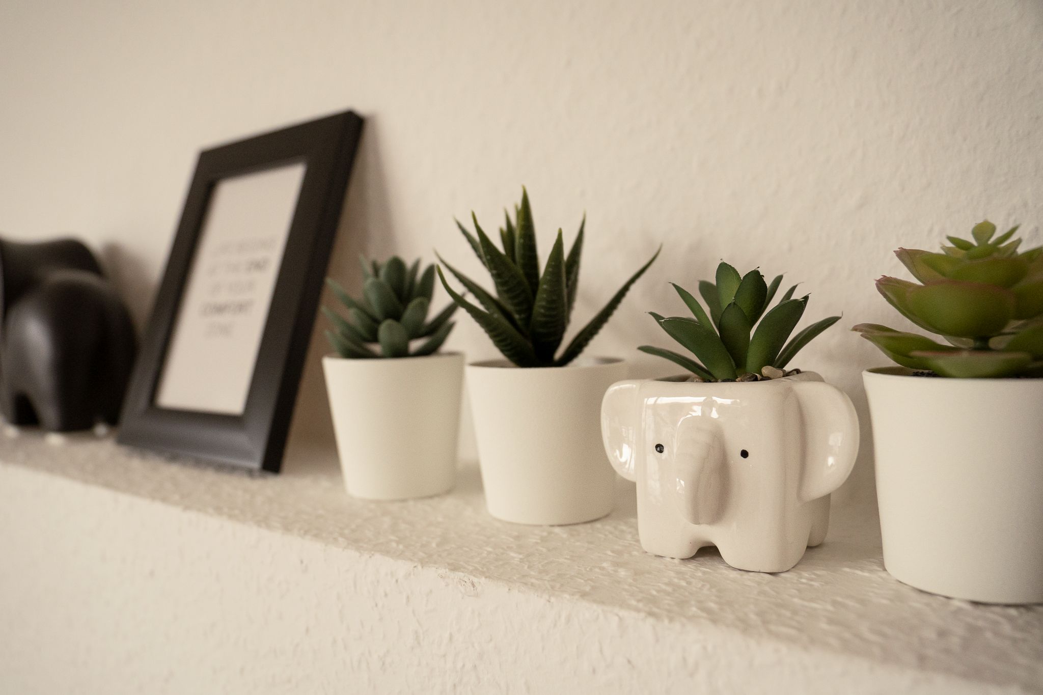 Elefant