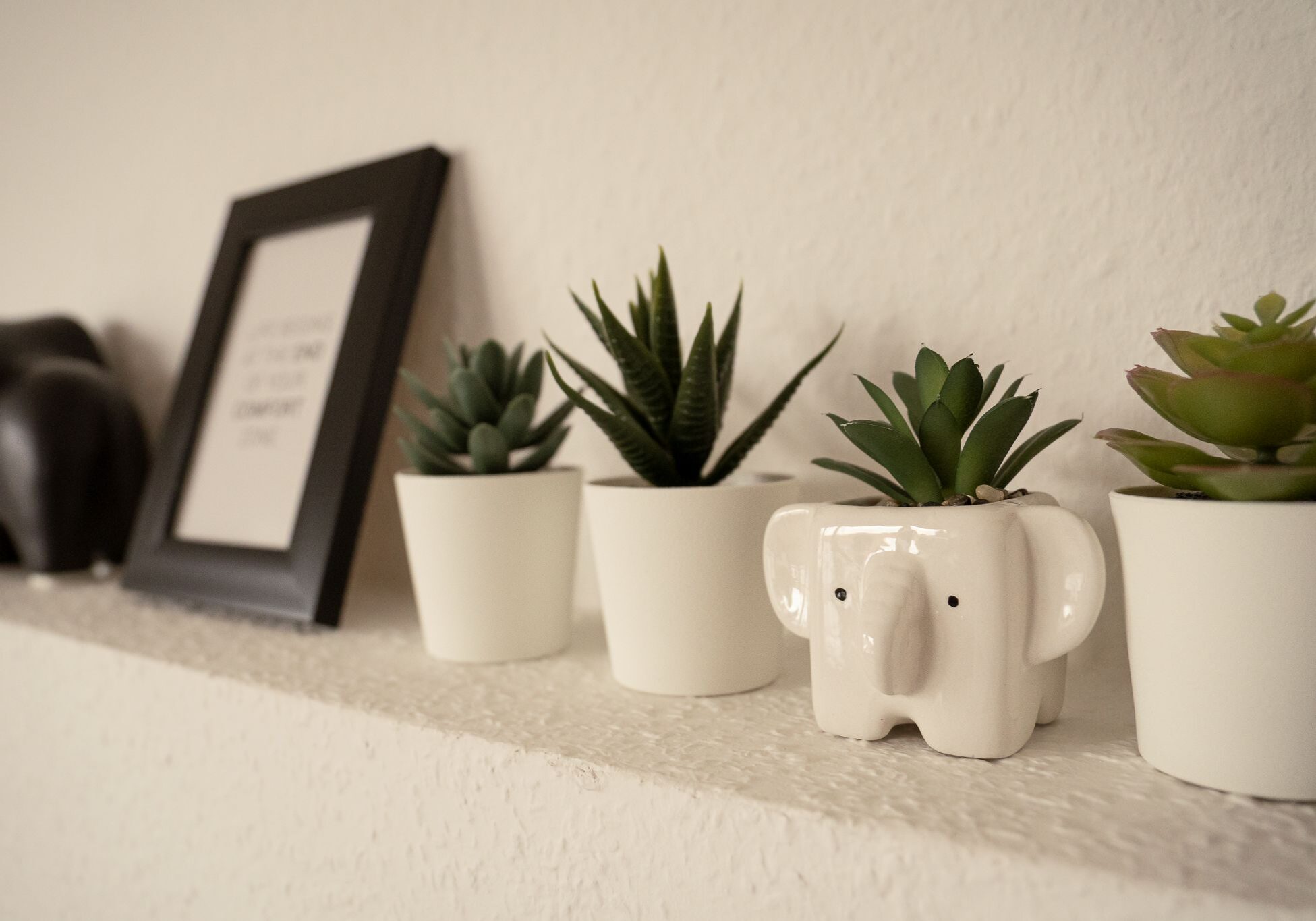 Elefant